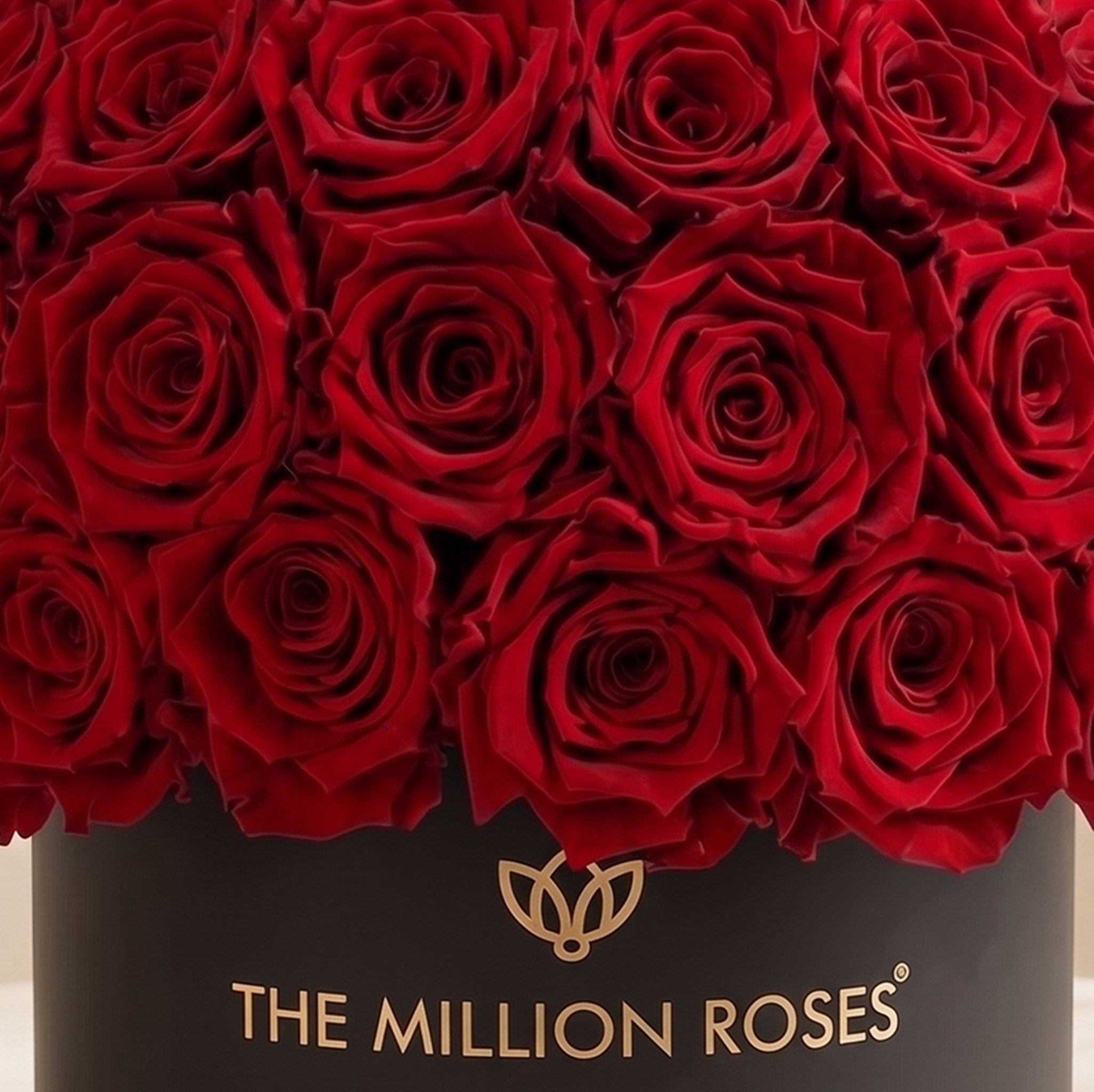 Luxury Classic Black Superdome | Preserved Red Roses