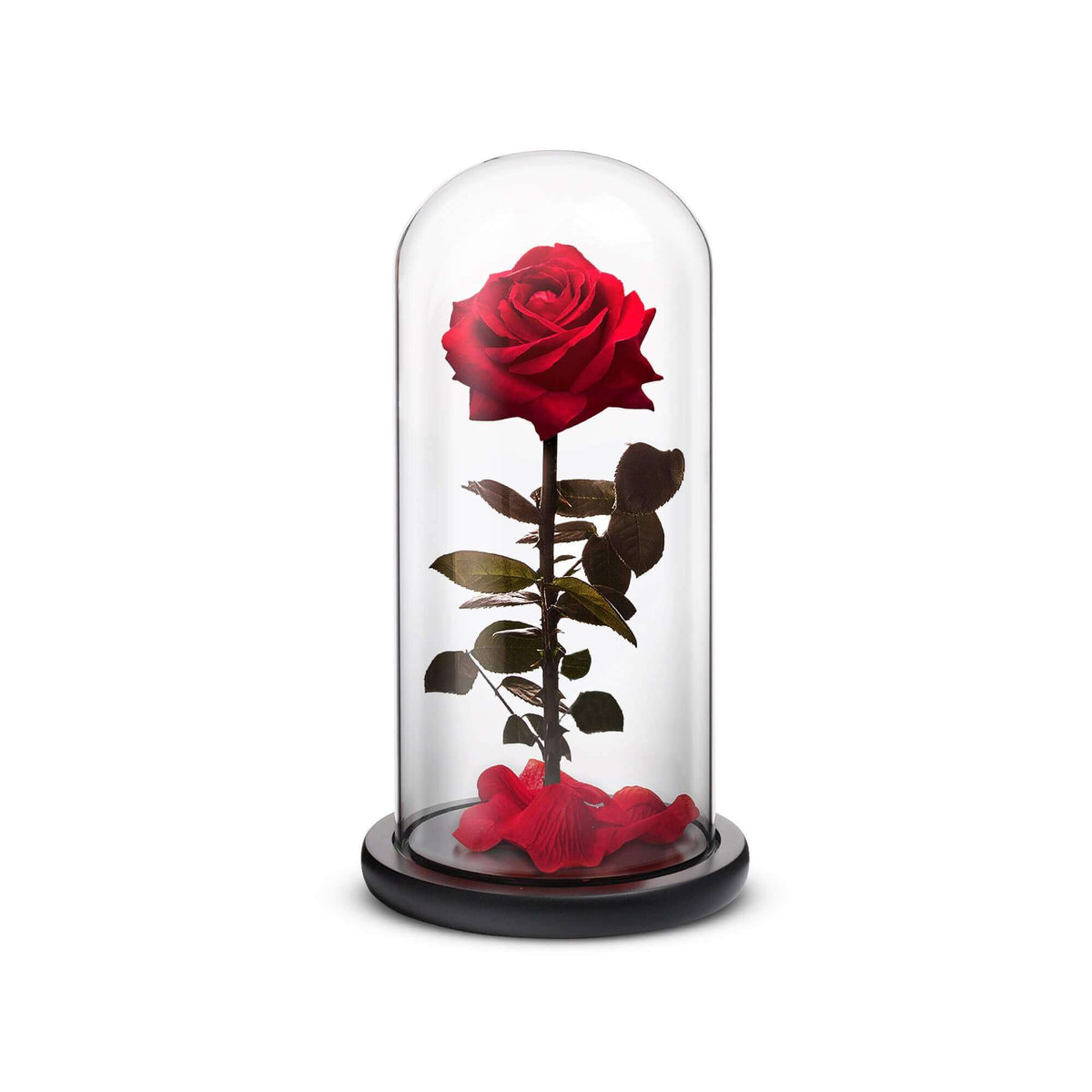 Everlasting Red Rose in Luxury Crystal Glass Dome