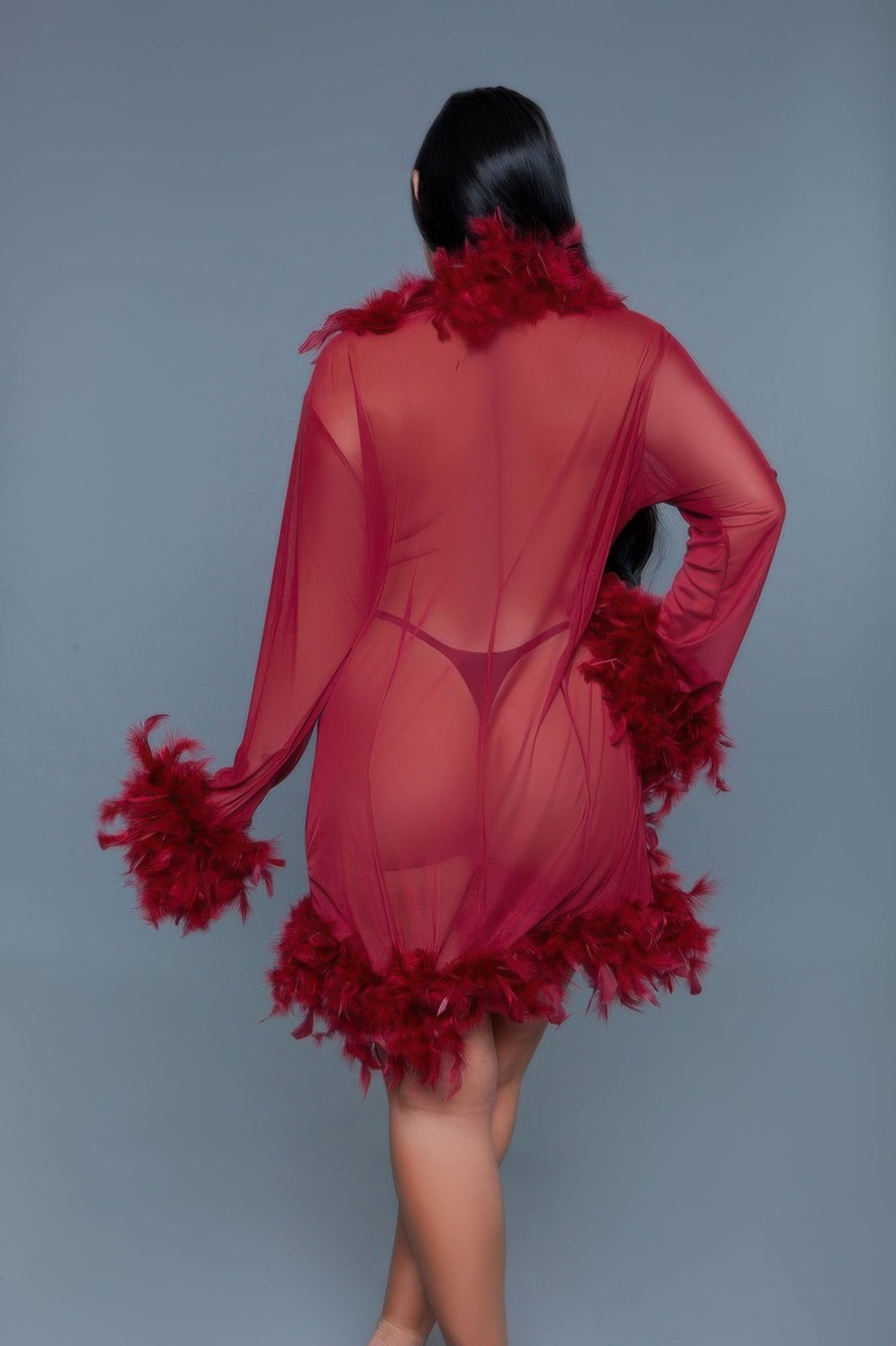 Luxe Feather-Trim Sheer Robe