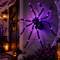 Midnight Crawler 49" Light-Up Halloween Spider